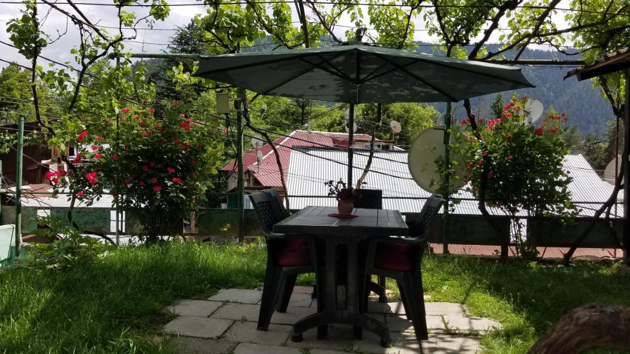 Guest House Green Rose Borjomi Exterior photo